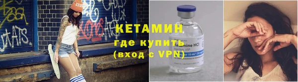 соль ск Дмитриев
