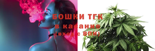 молекула духа Дмитровск