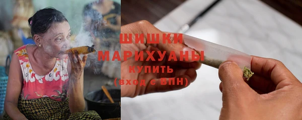 соль ск Дмитриев
