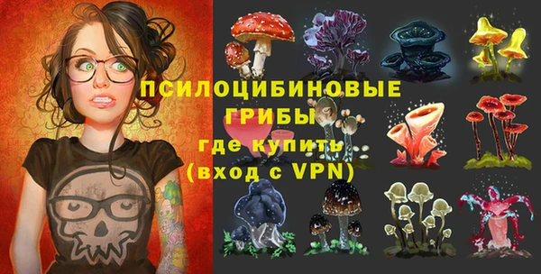 молекула духа Дмитровск