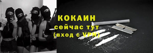 молекула духа Дмитровск