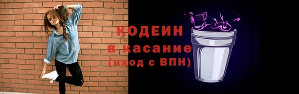 соль ск Дмитриев