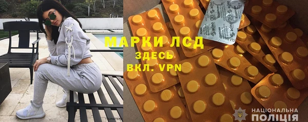 соль ск Дмитриев