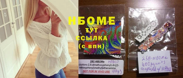 соль ск Дмитриев