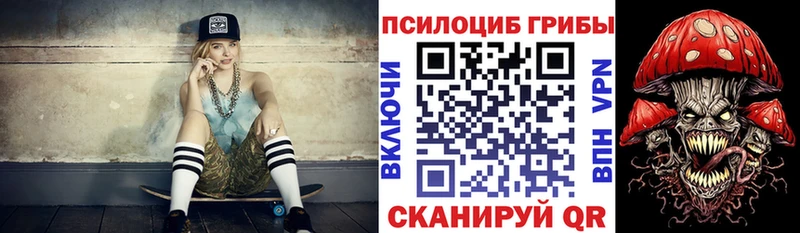 Псилоцибиновые грибы мицелий  Купить закладки  Ленинградская 